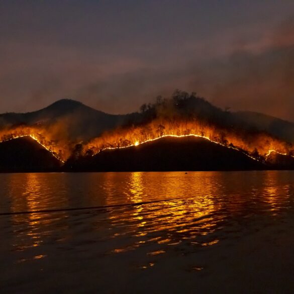 Wildfires In France Lead To Mass Evacuation