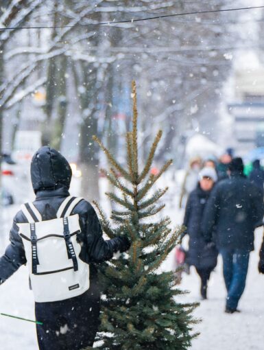 Flights and Train Cancelations Disrupt the Holiday Season in Europe