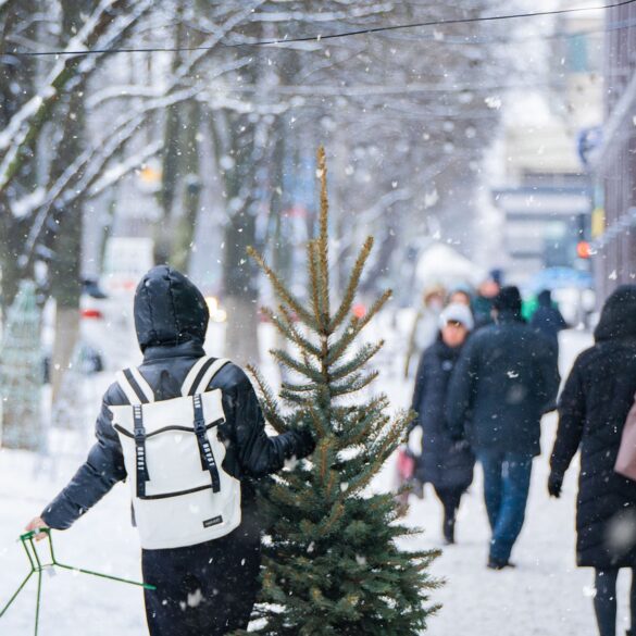 Flights and Train Cancelations Disrupt the Holiday Season in Europe