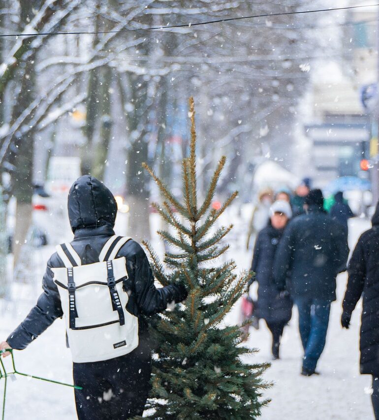 Flights and Train Cancelations Disrupt the Holiday Season in Europe